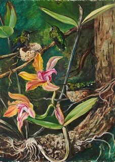 Marianne North